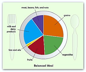Who Balanced Diet Chart